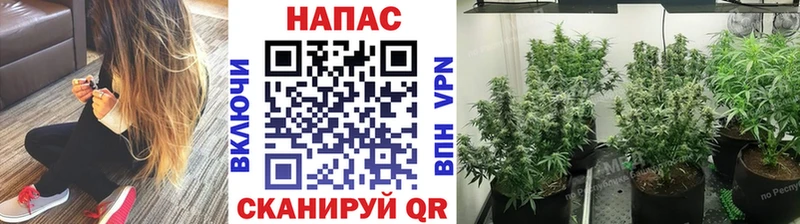 Где купить Гвардейск КЕТАМИН МЕФ ГАШИШ Канабис